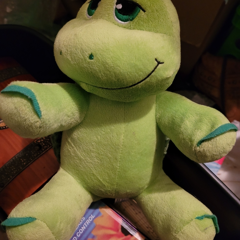 Turtle - Picture 2 of 4